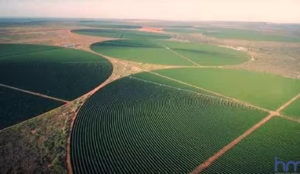 FAZENDA COM 420 ALQUEIRES COM CULTIVO DE CAFÉ IRRIGADO EM BURITIZEIRO-MG