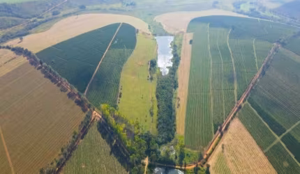 FAZENDA 129 HECTARES AGRICULTURA MUNICÍPIO DE PIUMHI - MG