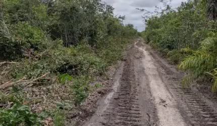FAZENDA COM 2.900 ALQUEIRES DE ÁREA BRUTA DUPLA APTIDÃO NO MUNICÍPIO DE COELHO NETO - MA