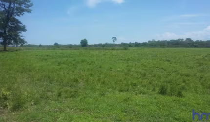 FAZENDA DUPLA APTIDÃO COM 2.416 ALQUEIRES EM FLORES DE GOIÁS - GO