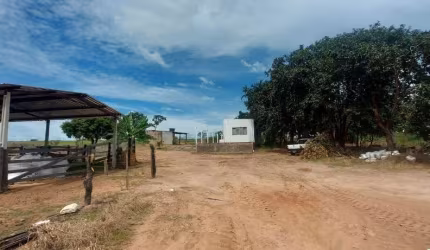 FAZENDA DE 12 ALQUEIRES PARA AGRICULTURA EM MONTE ALEGRE DE MINAS-MG