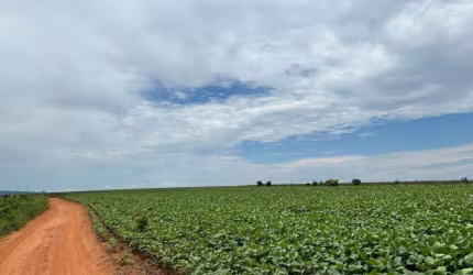 FAZENDA COM 52 ALQUEIRES DE DUPLA APTIDÃO EM CORUMBAÍBA-GO