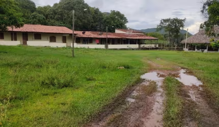 FAZENDA COM 560 ALQUEIRES DE DUPLAS APTIDÃO EM MONTE ALEGRE DE GOIÁS-GO