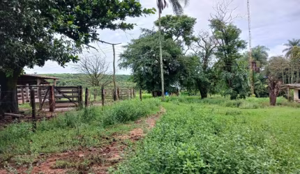 OPORTUNIDADE FAZENDA COM 136 ALQUEIRES EM UBERABA-MG ARRENDADA PARA CANA