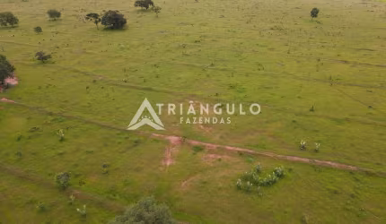 SITIO COM 14 ALQUEIRES DE DUPLA APTIDÃO EM CAMPINA VERDE-MG