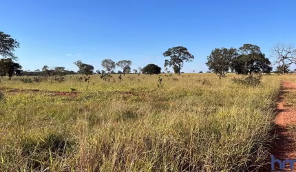 FAZENDA COM 33 ALQUEIRES DE DUPLA APTIDÃO EM CAMPINA VERDE-MG