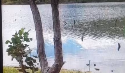 FAZENDA COM 54 ALQUEIRES BRUTA PARA PECUÁRIA EM MINAÇU-GO
