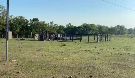 FAZENDA COM 46 ALQUEIRES DE DUPLA APTIDÃO EM DUERÉ-TO