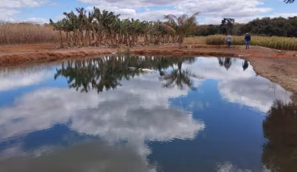 ÓTIMA FAZENDA PRODUTIVA PARA AGRICULTURA COM 350 ALQUEIRES EM ÁGUA FRIA DE GOIÁS-GO