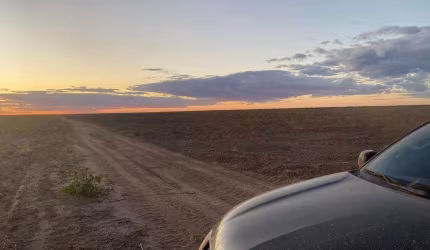 FAZENDA COM 2.900 ALQUEIRES PARA AGRICULTURA EM ALVORADA DO GURGUÉIA-PI