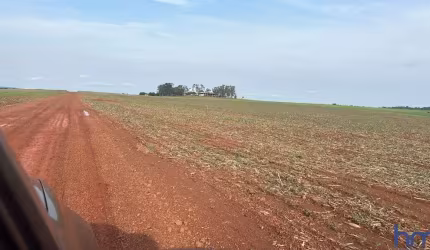 FAZENDA COM 785 ALQUEIRES PARA AGRICULTURA NA REGIÃO DE SINOP-MT