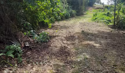Vende se terreno em Joinville  7.000 m²