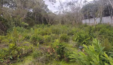 Terreno para Venda em Itanhaém, Luizamar Mirim