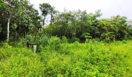 Terreno para Venda em Itanhaém, Coronel