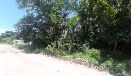 Terreno para Venda em Itanhaém, São Fernando