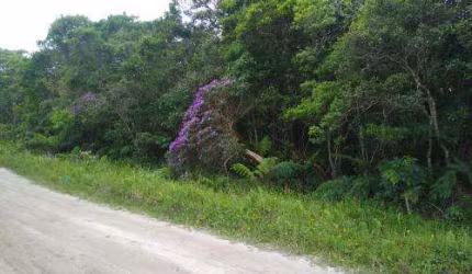 Terreno para Venda em Itanhaém, Bopiranga