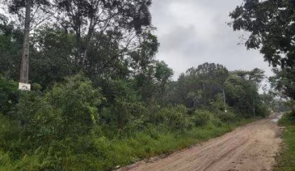 Terreno para Venda em Itanhaém, Parque Real