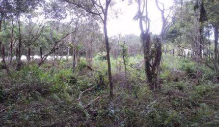 Chácara para Venda em Itanhaém, Gaivota