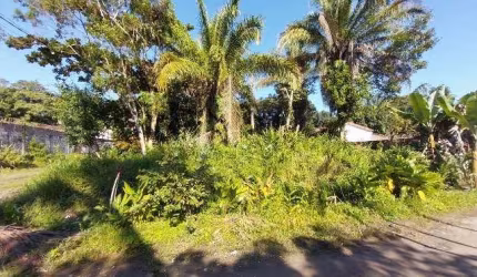 Terreno para Venda em Peruíbe, Jardim Somar
