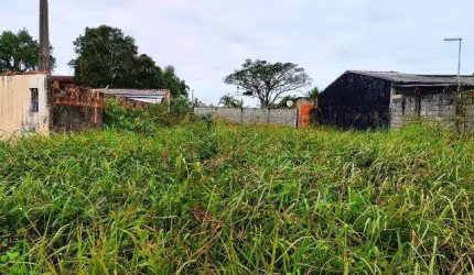 Terreno para Venda em Itanhaém, Palmeiras