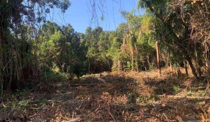 Terreno para Venda em Itanhaém, Luizamar Mirim