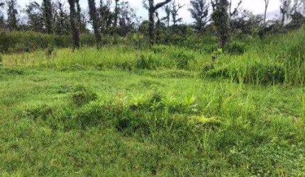 Terreno para Venda em Mongaguá, Jussara