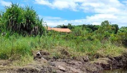 Terreno para Venda em Itanhaém, Grandesp