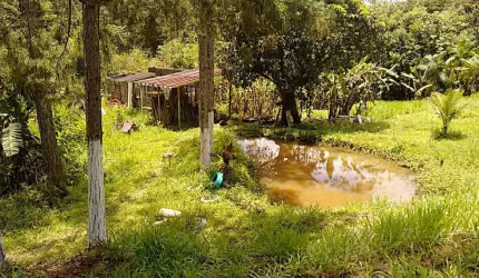 Sítio para Venda em Itariri, Ana Dias, 2 dormitórios, 2 banheiros