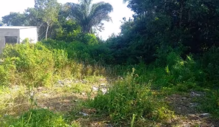 Terreno para Venda em Itanhaém, Gaivota