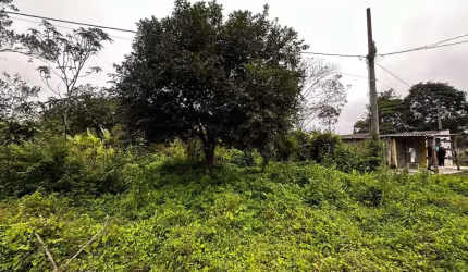 Terreno para Venda em Itanhaém, Coronel
