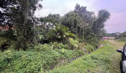 Terreno para Venda em Itanhaém, Califórnia