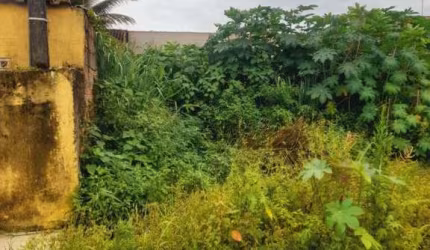 Terreno para Venda em Itanhaém, São João