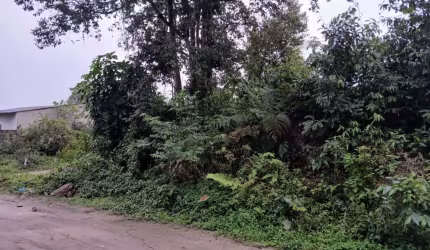 Terreno para Venda em Itanhaém, Jardim Coronel