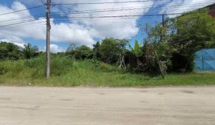 Terreno para Venda em Itanhaém, Chácara Glória