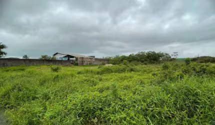 Terreno para Venda em Itanhaém, Chácaras Cibratel