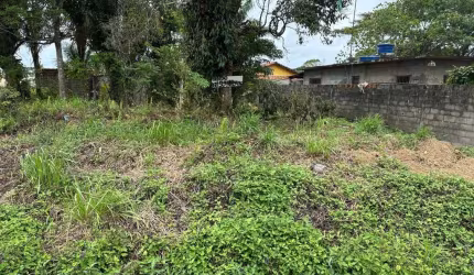 Terreno para Venda em Itanhaém, Palmeiras