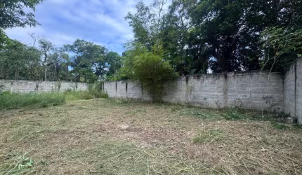 Terreno para Venda em Itanhaém, Palmeiras