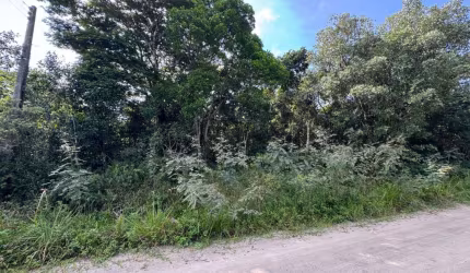 Terreno para Venda em Itanhaém, Bopiranga