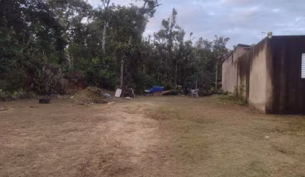 Terreno para Venda em Itanhaém, Coronel