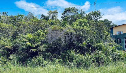 Terreno para Venda em Itanhaém, Jardim Guacyra