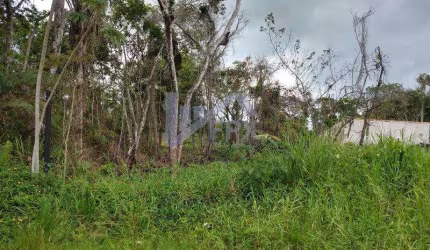 Terreno para Venda em Peruíbe, Jardim Márcia 2