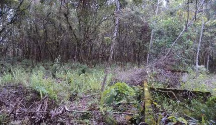 Chácara para Venda em Itanhaém, Balneário Gaivota