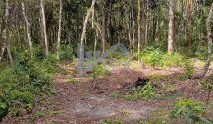 Chácara para Venda em Itanhaém, Parque Real