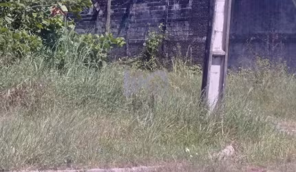 Terreno para Venda em Itanhaém, Jardim Umuarama