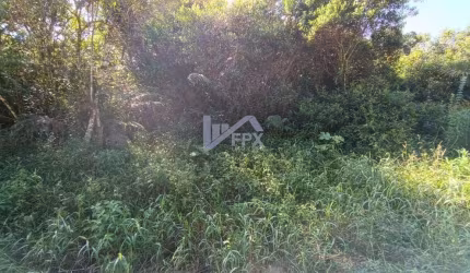 Terreno para Venda em Itanhaém, Parque Alvorada
