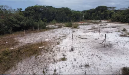 Terreno para Venda em Itanhaém, Jardim Regina