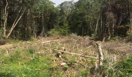 Terreno para Venda em Itanhaém, Indaiá