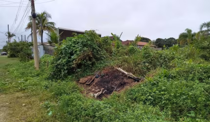 Terreno para Venda em Itanhaém, Jardim das Palmeiras