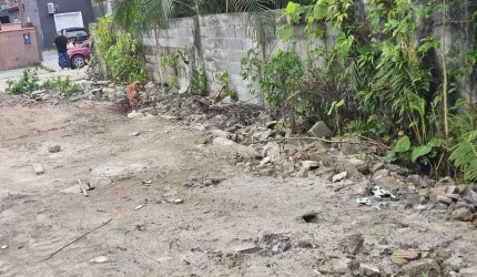 Terreno para Venda em Itanhaém, Balneario São Jorge