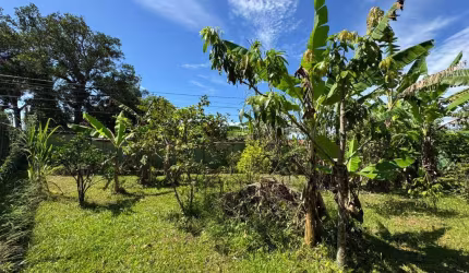 Terreno para Venda em Itanhaém, Jardim das Palmeiras